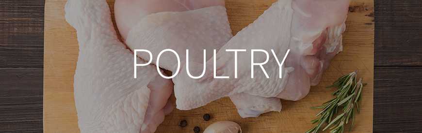 Poultry Meat Great Food Solutions